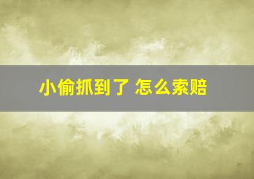 小偷抓到了 怎么索赔